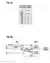Fig. 10 - Method of optical data transmission using polarization division multiplexing and QPSK