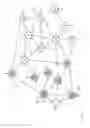 Fig. 03 - Distributed determination of routes in a vast communication network