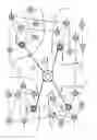 Fig. 16 - Distributed determination of routes in a vast communication network