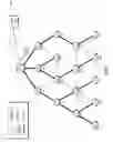 Fig. 04 - Optimizing bidirectional traffic flows