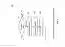 Fig. 05 - Feedback management in a multipath communication network