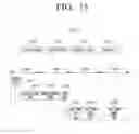 Fig. 20 - Transmitting apparatus, receiving apparatus and controlling method thereof