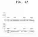 Fig. 21 - Transmitting apparatus, receiving apparatus and controlling method thereof