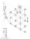 Fig. 11 - Proactive broadcast capacity adjustment for fast network joins