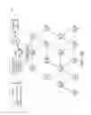 Fig. 13 - Proactive broadcast capacity adjustment for fast network joins