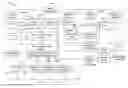 Fig. 01 - Systems and methods for initiating a peer-to-peer communication session