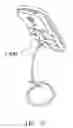 Fig. 08 - Elastic securing apparatus and mounting system for electronic device