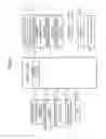 Fig. 05 - Document reading device capable of document reading by both methods of fixed document reading and conveyed document reading which performs black reference correction and image forming apparatus provided with same
