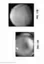 Fig. 17 - Methods and apparatus for true high dynamic range imaging