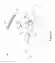 Fig. 09 - SYSTEM AND METHOD FOR CONTROL BASED ON FACE OR HAND GESTURE DETECTION