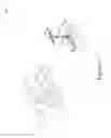 Fig. 12 - SYSTEM AND METHOD FOR CONTROL BASED ON FACE OR HAND GESTURE DETECTION