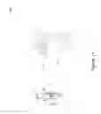 Fig. 15 - SYSTEM AND METHOD FOR CONTROL BASED ON FACE OR HAND GESTURE DETECTION