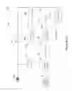 Fig. 42 - SYSTEM AND METHOD FOR CONTROL BASED ON FACE OR HAND GESTURE DETECTION