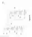 Fig. 53 - SYSTEM AND METHOD FOR CONTROL BASED ON FACE OR HAND GESTURE DETECTION