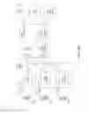 Fig. 13 - Inter-layer parameter set for HEVC extensions