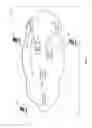 Fig. 10 - Packetized content delivery apparatus and methods