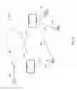Fig. 13 - Packetized content delivery apparatus and methods