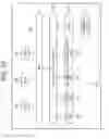 Fig. 58 - RECEPTION DEVICE, RECEPTION METHOD, TRANSMISSION DEVICE, AND TRANSMISSION METHOD