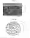 Fig. 02 - LOUDSPEAKER-PURPOSE VIBRATION PLATE, LOUDSPEAKER USING THAT VIBRATION PLATE, ELECTRONIC DEVICE, AND MOBILE APPARATUS