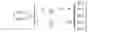 Fig. 02 - Method and signal processing unit for mapping a plurality of input channels of an input channel configuration to output channels of an output channel configuration