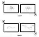 Fig. 06 - Method of sharing data between electronic devices