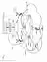 Fig. 08 - MIGRATION OF LOCAL ANCHORS IN A WIRELESS MESH NETWORK