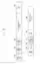Fig. 14 - Terminal and distance estimation method thereof