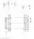 Fig. 16 - Alignment of packets for implementing coexistence of multiple homogeneous radios