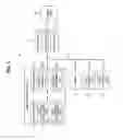 Fig. 02 - Method for transmitting and receiving frame in wireless local area network