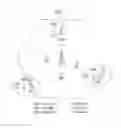 Fig. 02 - Method for performing random access by terminal, and terminal