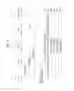 Fig. 05 - Method for performing random access by terminal, and terminal