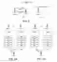 Fig. 04 - Methods for multi-point carrier aggregation configuration and data forwarding