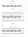 Fig. 03 - PREPREG AND METHOD FOR MANUFACTURING THE SAME
