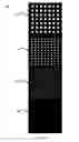 Fig. 04 - Equipment enclosure air flow control system