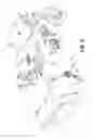 Fig. 08 - Walk aerator
