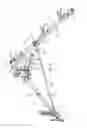Fig. 05 - Agricultural implement having power assist wing wheels
