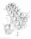 Fig. 02 - FERTILIZER INJECTOR