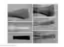 Fig. 01 - DICOTYLEDON TRANSGENIC METHOD FOR INVADING GROWING POINTS OF SEED SPROUTS OR SEEDLING STEMS MINIMALLY AND FULLY