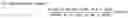 Fig. 04 - DICOTYLEDON TRANSGENIC METHOD FOR INVADING GROWING POINTS OF SEED SPROUTS OR SEEDLING STEMS MINIMALLY AND FULLY