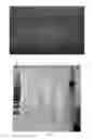 Fig. 05 - DICOTYLEDON TRANSGENIC METHOD FOR INVADING GROWING POINTS OF SEED SPROUTS OR SEEDLING STEMS MINIMALLY AND FULLY