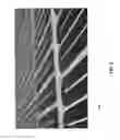 Fig. 04 - Systems and methods for cultivating and distributing aquatic organisms