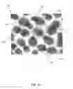 Fig. 16 - Systems and methods for cultivating and distributing aquatic organisms