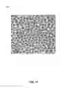 Fig. 17 - Systems and methods for cultivating and distributing aquatic organisms
