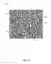 Fig. 18 - Systems and methods for cultivating and distributing aquatic organisms