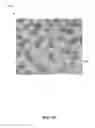 Fig. 19 - Systems and methods for cultivating and distributing aquatic organisms