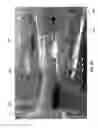 Fig. 55 - Systems and methods for cultivating and distributing aquatic organisms