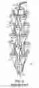 Fig. 03 - VERTICAL GROWING SYSTEM AND METHOD