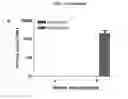 Fig. 16 - HUMANIZED MOUSE MODEL FOR STUDY OF BONA FIDE HEPATITIS VIRUS INFECTION AND USE THEREOF