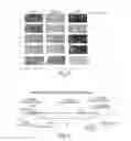 Fig. 04 - Isolation of novel AAV's and uses thereof