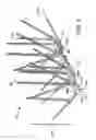 Fig. 04 - Branched Spike Bird Deterrent